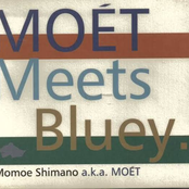 MOET Meets Bluey.