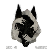 Phantom Limbs [Deluxe Edition]