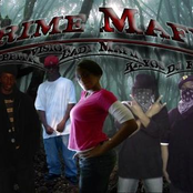 Crime Mafia Clique