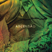 Ascensao