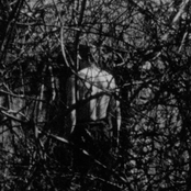 Sore Throat Soundtrack