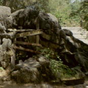 Cradle