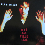 Allt Jag Ville Säja by Ulf Stureson