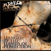 Hanged by the Hands of Perfection