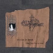 like figs from a tree