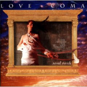 Spice by Love Coma
