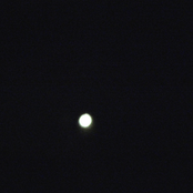 THE LIGHTS