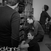 d/ants / SONG