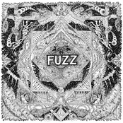 Fuzz: II