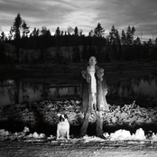 The Piercing Stare, The Thousand Lies