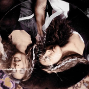 Further Down The Rabbit Hole