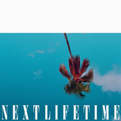 Next Lifetime