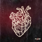 Pulse - Single