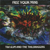 Been Through Hell by Too Slim And The Taildraggers