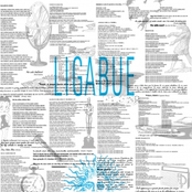 Ligabue: Ligabue