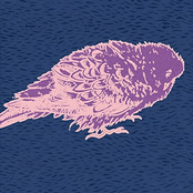 It Puts Motion to the Sin