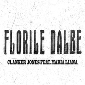 Florile Dalbe