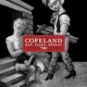 Cover What You Can by Copeland