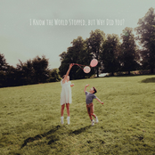 I Know the World Stopped, but Why Did You?