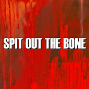 Spit Out the Bone