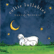 Count The Stars by Sheila Walsh