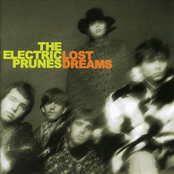 Hideaway by The Electric Prunes