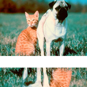 Erowid Trip Report ／／ DMT-046