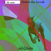 Die Reste fressen die Hunde
