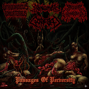 Passages Of Perversity