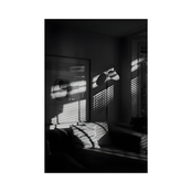 La fedeltà delle stagioni