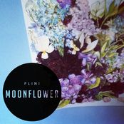 Moonflower by Plini