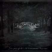 December's Blame by Lethian Dreams