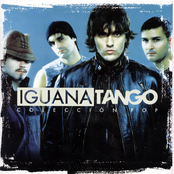 No Me Importa Nada by Iguana Tango