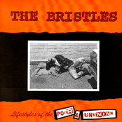 Lifestyles Of The Poor & Unknown