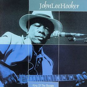 I Like To See You Walk by John Lee Hooker