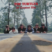 It Ain't Me Babe by The Turtles