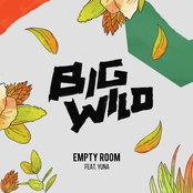 Big Wild: Empty Room