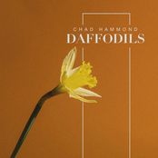 Daffodils