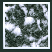 Crow Autumn Part Two