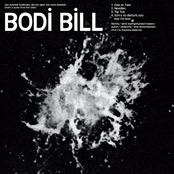 Small Sorrows, Great Songs by Bodi Bill