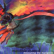 Psychotic Reaction by Mandible Chatter