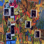 WHERE ARE THE BUGS!?