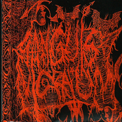 Ritual do Diabo Medieval