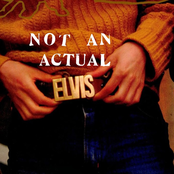 Not an Actual Elvis Belt