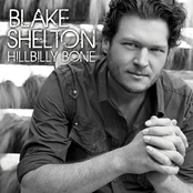 Can't Afford To Love You by Blake Shelton