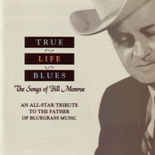 true life blues: the songs of bill monroe