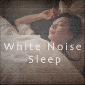 White Noise Sleep