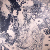 Miracle Steps: Music From The Fourth World 1983-2017