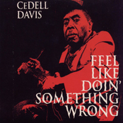 Falling Rain Blues by Cedell Davis