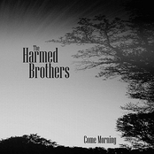 The Harmed Brothers: Come Morning